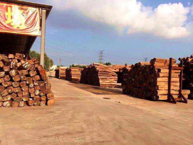 Land and sea freight rose, the lumber market is injured
